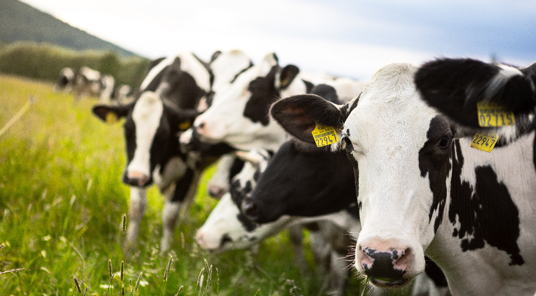 gewinne-in-der-landwirtschaft-brechen-um-30-prozent-ein