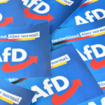 eilantrag-erfolgreich:-afd-vorerst-rehabilitiert