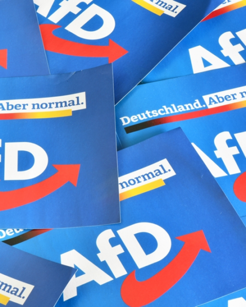eilantrag-erfolgreich:-afd-vorerst-rehabilitiert