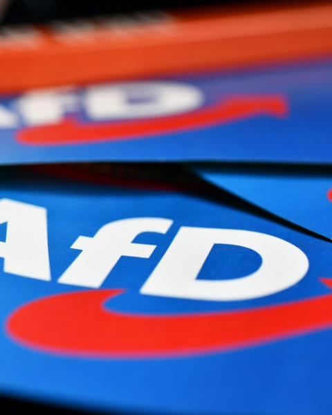 afd-baut-vorsprung-aus-und-erreicht-28-prozent