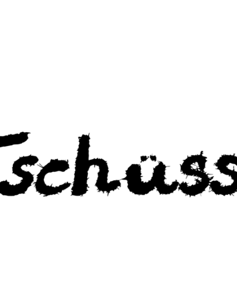 immer-mehr-junge-deutsche-wollen-das-land-verlassen