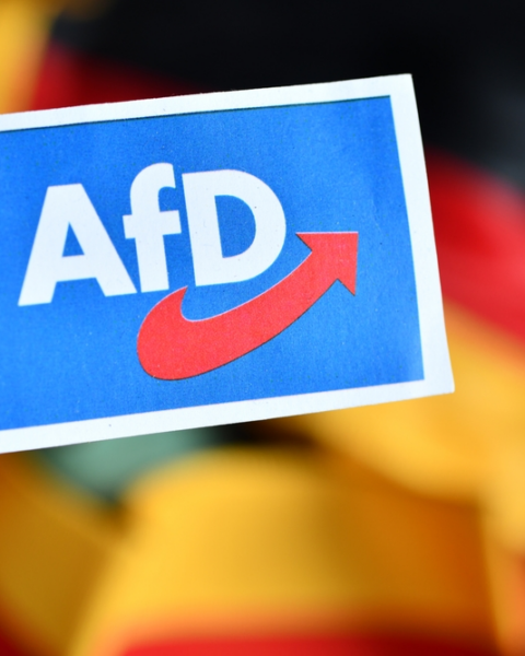 AfD wird stärkste Kraft in Sachsen-Anhalt